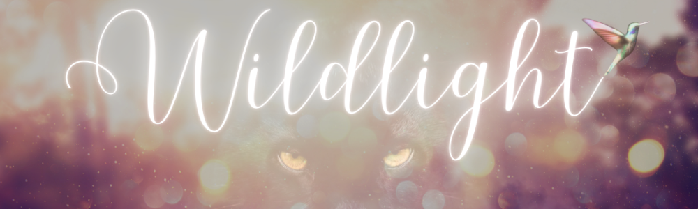 User banner image